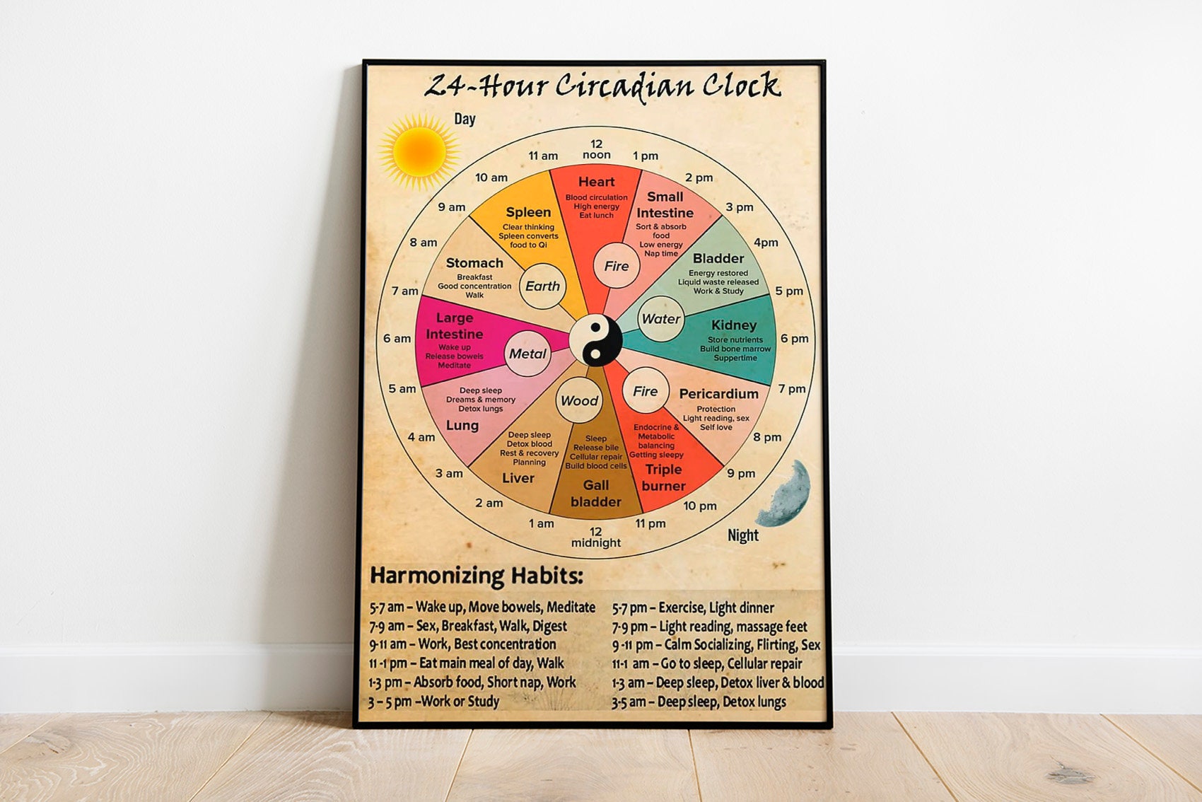 24 Hour Circadian Clock Poster, Organ Clock Poster, Knowledge Poster
