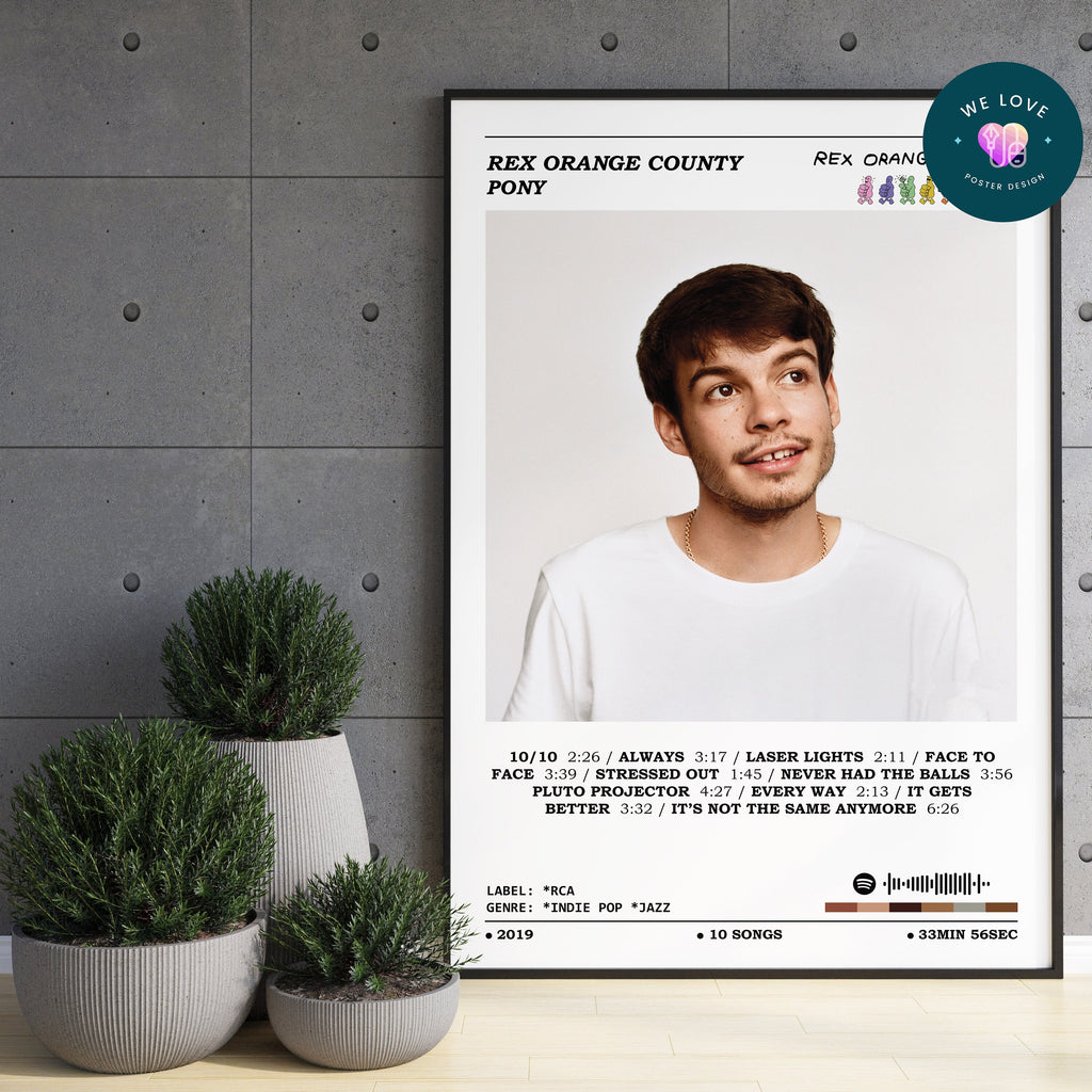 Rex Orange County - Pony Poster, Rex Orange County Poster, Album Cover Poster, Music Print, Album Print, Home Wall Decor, Music Gift