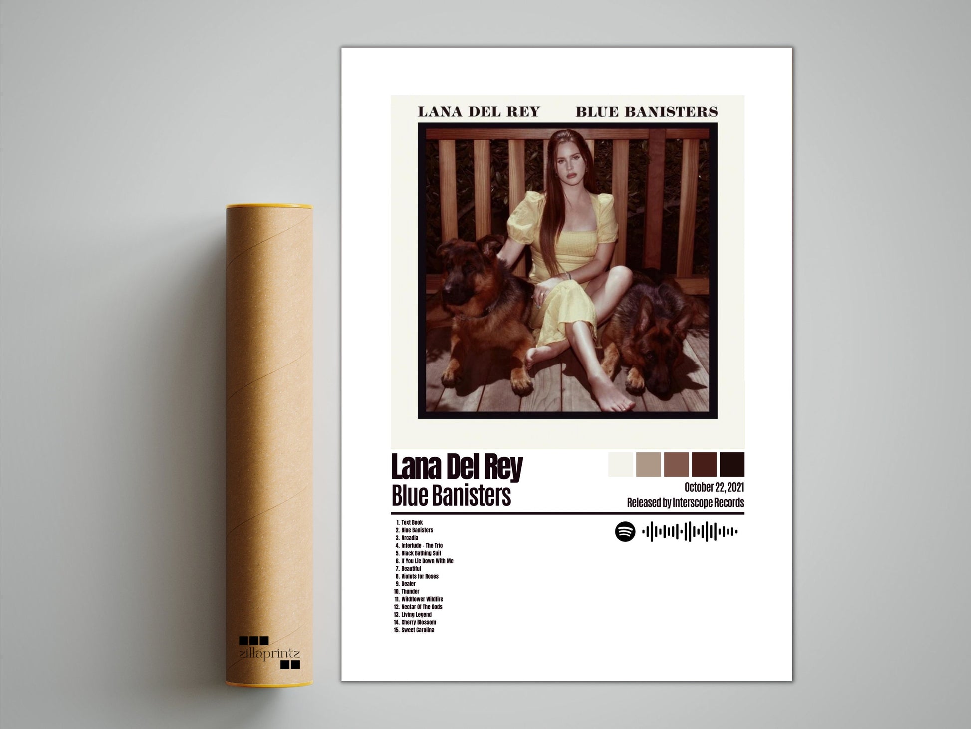 Lana Del Rey Poster, Blue Banisters Poster, Album Cover Poster, Custom Poster